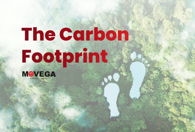 The Carbon Footprint - cover